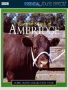 Essential Sound Effects of Ambridge (MP3)